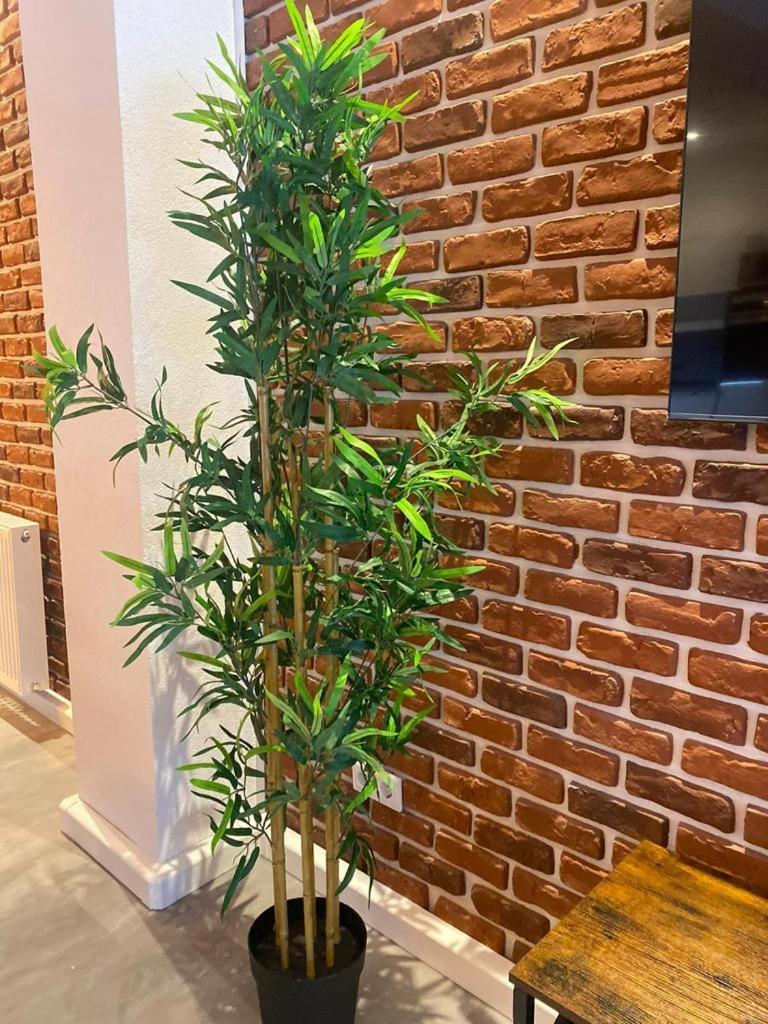Luxurioese Loft Mit Garten Naehe Duesseldorf Messe Krefeld Exterior foto